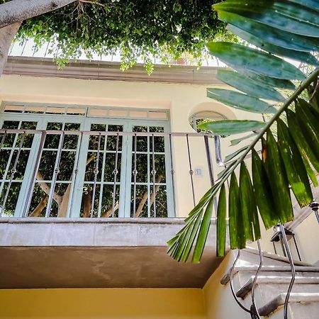 Bed and Breakfast Casa Florida Альенде Экстерьер фото