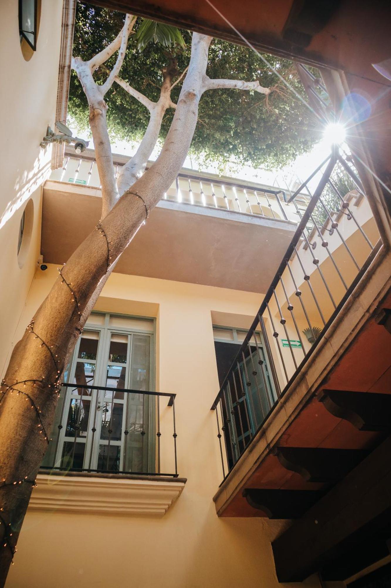 Bed and Breakfast Casa Florida Альенде Экстерьер фото